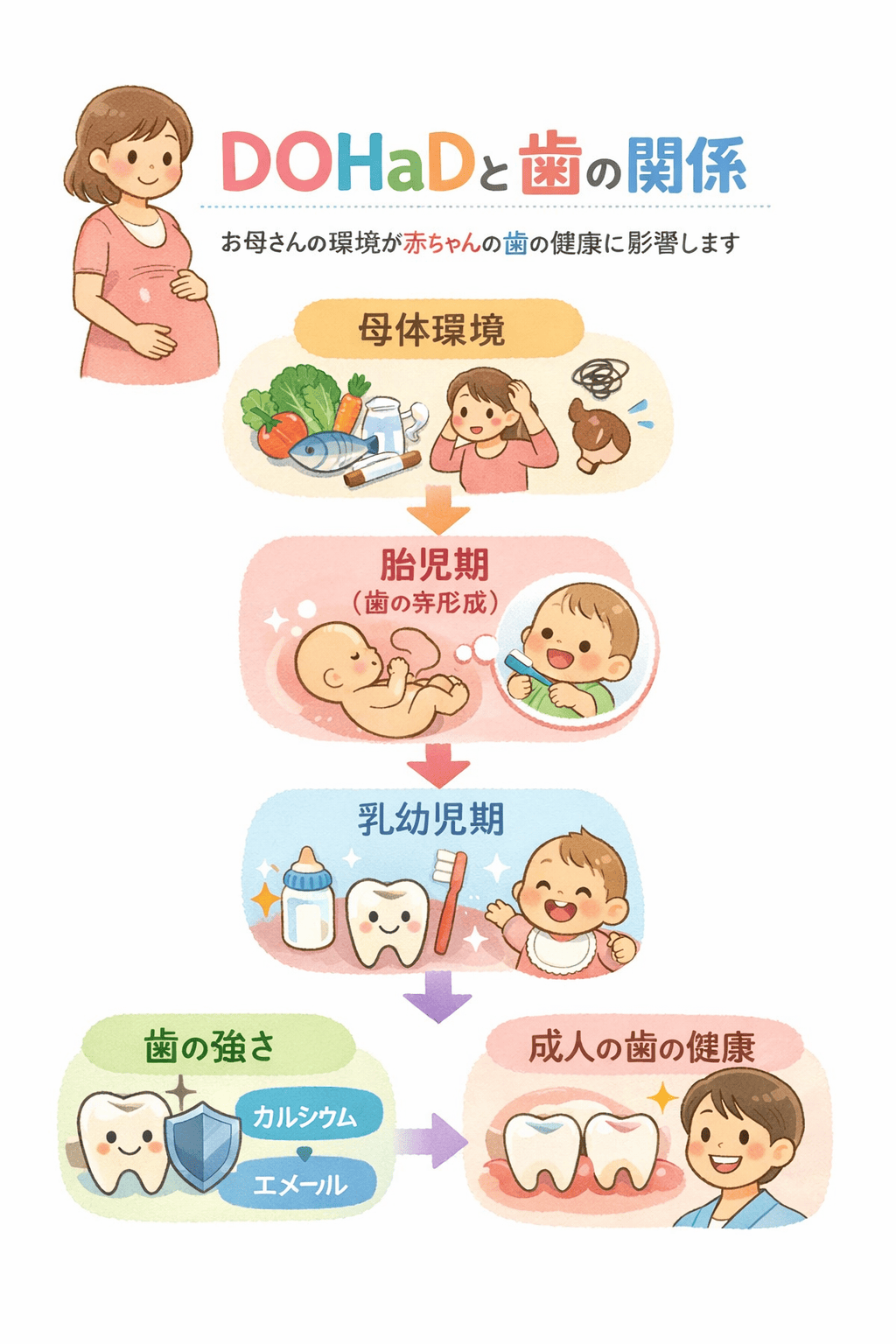 DOHaD（ドーハッド）と歯科