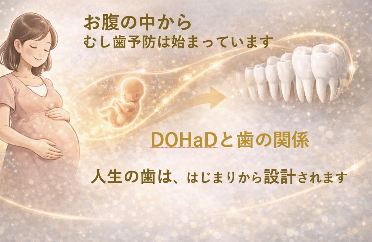 ●DOHaD(ドーハッド)と歯科