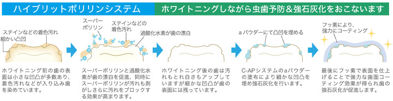 ハイブリッドポリリンのメカニズム